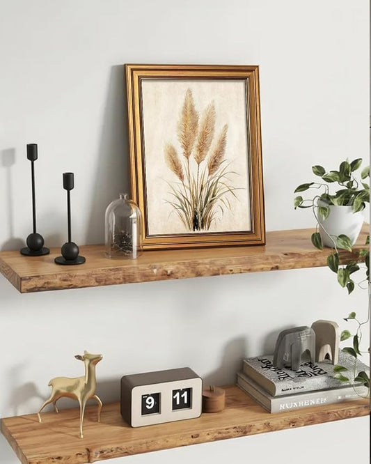 VIYYIEA Vintage Rustic Botanical Bohemian Farmhouse Neutral Wall Art Decor for Living Room Bedroom, Aesthetic Pampas Grass Watercolor Minimalist Pictures,12x16inch,Gold Framed Canvas Prints Paintings