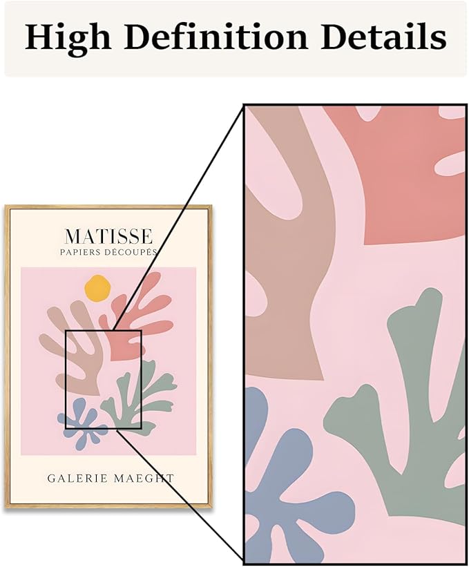 Zzuyi Henri Matisse Pink Framed Wall Art,Abstract Botanical Matisse Canvas Wall Decor,Minimalist Classic Decor Aesthetic for Living Room,Bedroom,Bathroom 12x16in