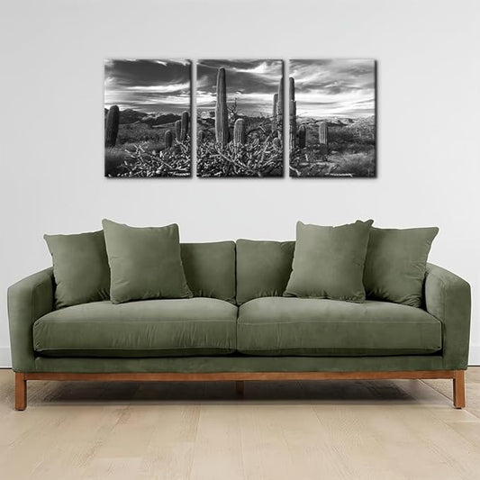 Pacimo 3 Pieces Black and White Canvas Wall Art Sunset Landscape of National Park Arizona Sonoran Desert Cactus Pictures Painting Prints on Canvas Modern Artwork for Home Office Decor - 12"x16"x3