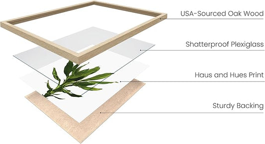 HAUS AND HUES Plant Photo Set of 4-16x20 Framed Beige