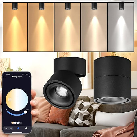 LED Ceiling Spotlight Indoor Dimmable - Tuya Smart Life 360° Adjustable 12W COB Ceiling Downlight Aluminum Hard Wired For Bedrooms Rooms Corridors Painting Background Walls (Black, A (4.02"*3.94"))