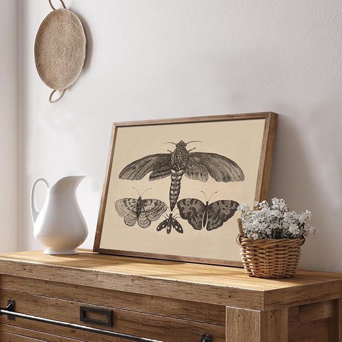 uniro Vintage Wall Art Prints, Moody Moth and Butterfly Wall Painting Canvas Prints, Antique Dark Cottage Room Decor Butterfly Sketch Oil Painting, Rustic Neutral Insect Aesthetic Wall Decor Vintage Art Pictures for Bedroom Gallery Bathroom Decor( 8" x...