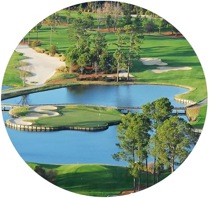 chenchenArt King's North Golf Course Wall Art for Living Room Bedroom Bathroom Home Decorations Myrtle Beach National Club Picture Canvas Prints Modern Artwork Framed Ready to Hang(18''H x 24''W)