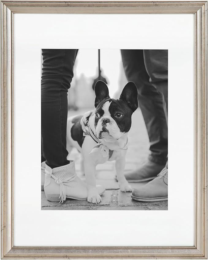 Kate and Laurel Adlynn Rectangle Picture Frame Set of 4; 11 x 14 matted to 8 x 10; Silver; Glam Four-Piece Frame Set for Gallery Wall Frame Set in Living Room Wall Decor