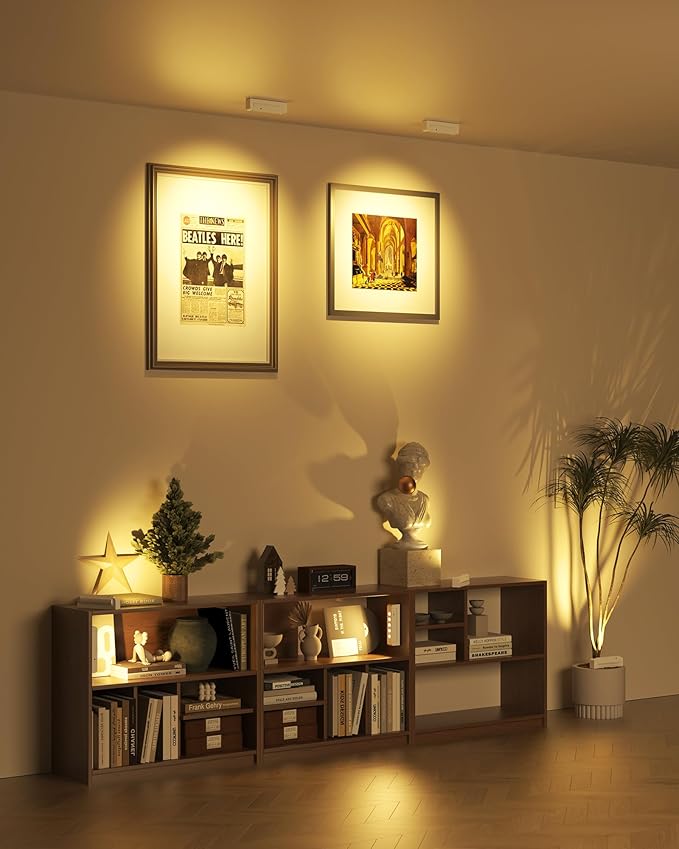 LED Spotlights Indoor, Rechargeable Uplights with Daily Auto Timer, 5500mAh Battery, 3CCT, Dimmable & Remote Control, Wireless Accent Lighting for Plants, Wall Display & Artwork