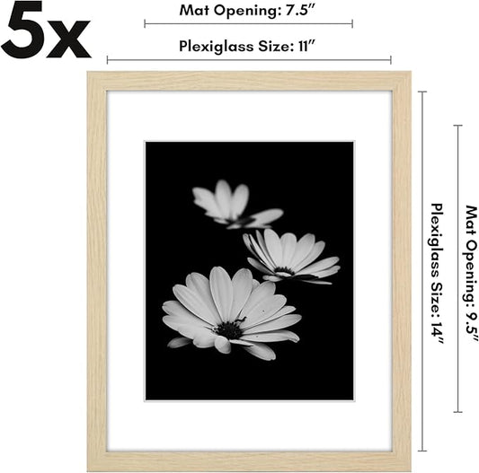 Americanflat 11x14 Picture Frame with Polished Plexiglass - Set of 5 - Use as 8x10 Frame with Mat or Display 11x14 Photo Without Mat - Galleria Collection - Picture Frames for Wall - Natural Oak