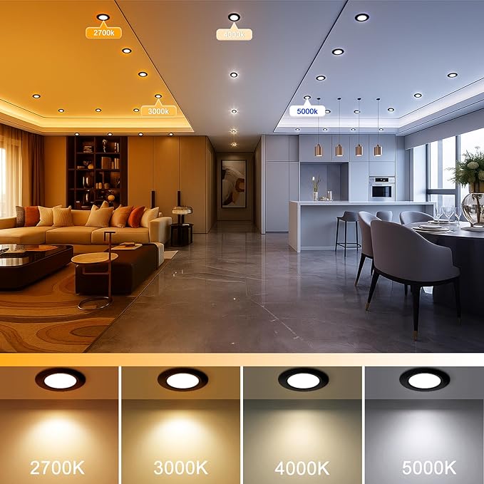 2 Inch LED Recessed Lighting, Dimmable Downlight 3W(35W Halogen Equivalent), CRI80, 5000K Daylight White Ceiling Light with LED Driver (24 Pack)