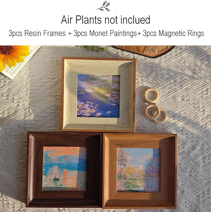 3 Pack Magnetic Monet Wall Art & Air Plant Living Holder 2-in-1 (Impression Sunrise & Water-Lily & Spring by the Seine) DIY Frame Painting Prints Airplant Holder for Living Room Bedroom Office Decor