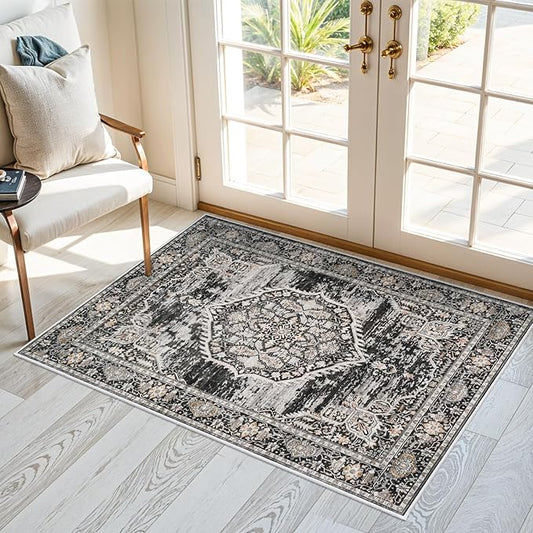 Washable Area Rugs 2x3 Entryway: Soft Ultra Thin Low Pile Mat Machine Washable Indoor Doormat Lightweight Entry Rug Anti Slip Backing Rugs for Living Room Bedroom Kitchen 2'x3' Black