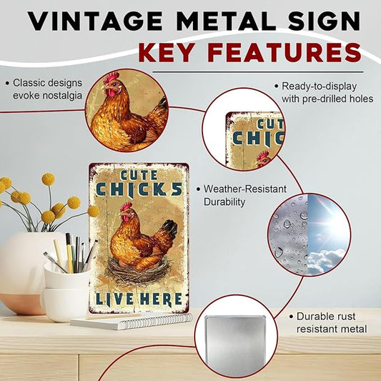 Funny Chicken Coop Sign “Cute Chicks Live Here” - Vintage Tin Metal Wall Decor for Farm, Garden, Hen House, Yard 8x12 Inch