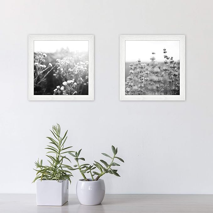 MCS Gallery Essential Picture Frame Set 8x8 White Woodgrain, Square Gallery Wall Hanging Picture Frames for Photos & Art Prints (2-Pack)