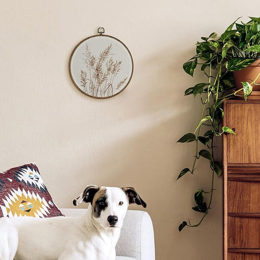 TLESKE Vintage Botanical Round Wall Art Decor Framed 10x10, Neutral Plants Cottage Core Cottagecore Canvas Wall Art Prints Artwork, Boho Fall Farmhouse Hanging Wall Picture Room Decor for Bedroom