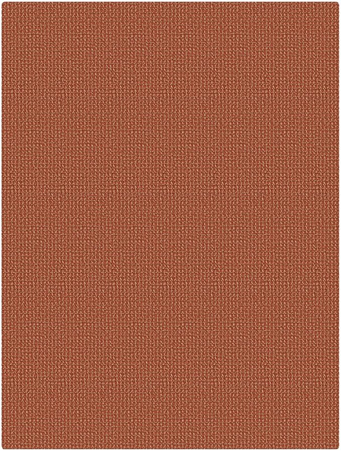 KOZYFLY Washable 3x4 Woven Entry Area Rug, Braided Throw Rugs for Entryway, Non Slip Door Mat Indoor Outdoor Entrance, Front Porch Foyer Carpet for Kitchen, mudroom, Bathroom, Burnt Orange/Tan