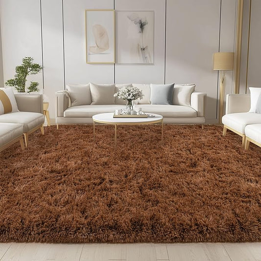 Brown Rug for Living Room Bedroom, 6x9 Fuzzy Fluffy Carpet, Shag Area Rugs for Kids Home Decor Aesthetic, Non Slip