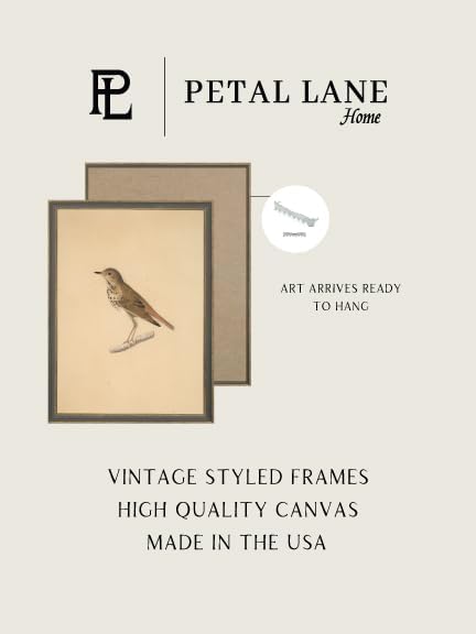 Petal Lane Bird Wall Art - 11x15 Framed Antique Decor - Make Your Own Gallery Wall Frame Set - Dark Academia Wall Decor - Canvas Bird Wall Decor