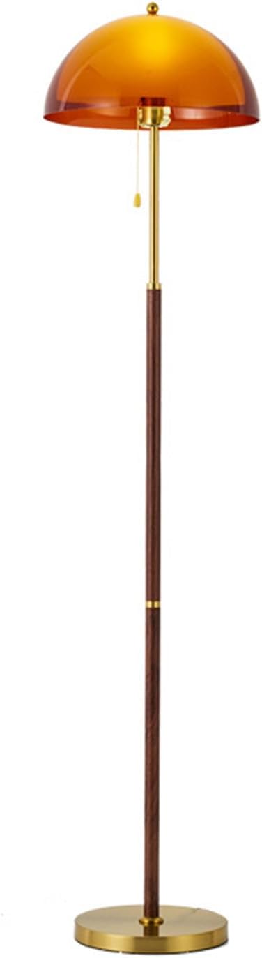 Tea Brown Dome Acrylic Shade Floor Lamp with Pull Chain,Mushroom Standing Lamp with Golden Base,Mid Century Modern Floor Light for Living Room Bedroom and Office
