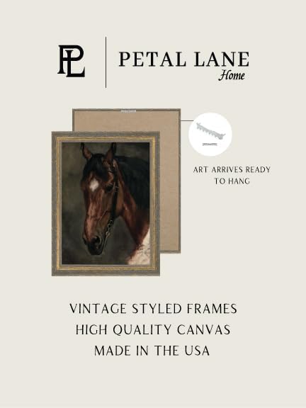 Petal Lane Farmhouse Wall Decor - 8x10 Framed Antique Decor - Make Your Own Gallery Wall Frame Set - Dark Academia Wall Decor - Modern Farmhouse Decor (Horse Portrait)