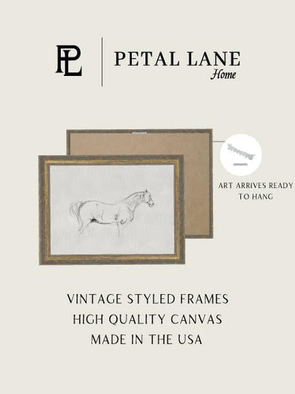 Petal Lane Horse Wall Art - 10x8 Framed Antique Decor - Make Your Own Gallery Wall Frame Set - Dark Academia Wall Decor - Farmhouse Wall Art (Horse Sketch)