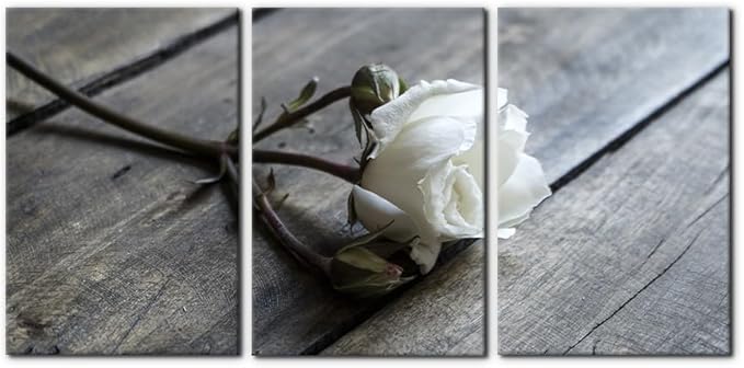 Pacimo White Rose Canvas Wall Art Prints Flowers Pictures Paintings Prints on Canvas Modern 3 Pieces Floral Giclee Artwork for Living Room Bedroom Office Home Decorations Stretched Framed - 16"x24"x3