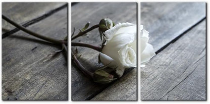 Pacimo White Rose Canvas Wall Art Prints Flowers Pictures Paintings Prints on Canvas Modern 3 Pieces Floral Giclee Artwork for Living Room Bedroom Office Home Decorations Stretched Framed - 16"x24"x3