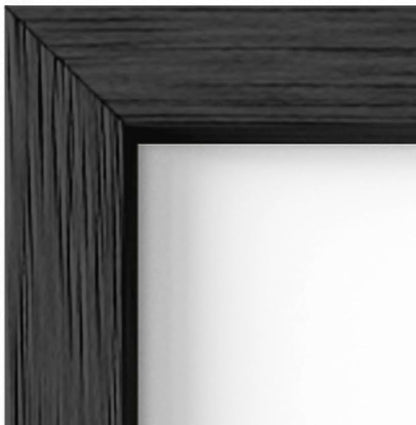 HAUS AND HUES 11x14 Black Metal Picture Frames - Features Premium Aluminum & Hanging Hardware, Shatterproof Plexiglass - Ideal for Home, Room, Office (11x14 in, Black, Set of 4)