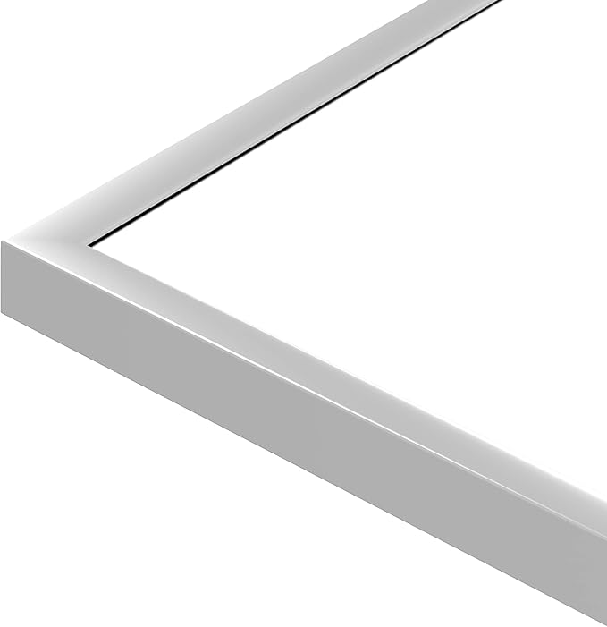 NeuType Full Length Mirror Floor Mirror with Standing Holder Bedroom/Locker Room Standing/Hanging Mirror Dressing Mirror (Silver), 65"x22"