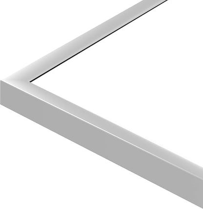 NeuType Full Length Mirror Floor Mirror with Standing Holder Bedroom/Locker Room Standing/Hanging Mirror Dressing Mirror (Silver), 65"x22"
