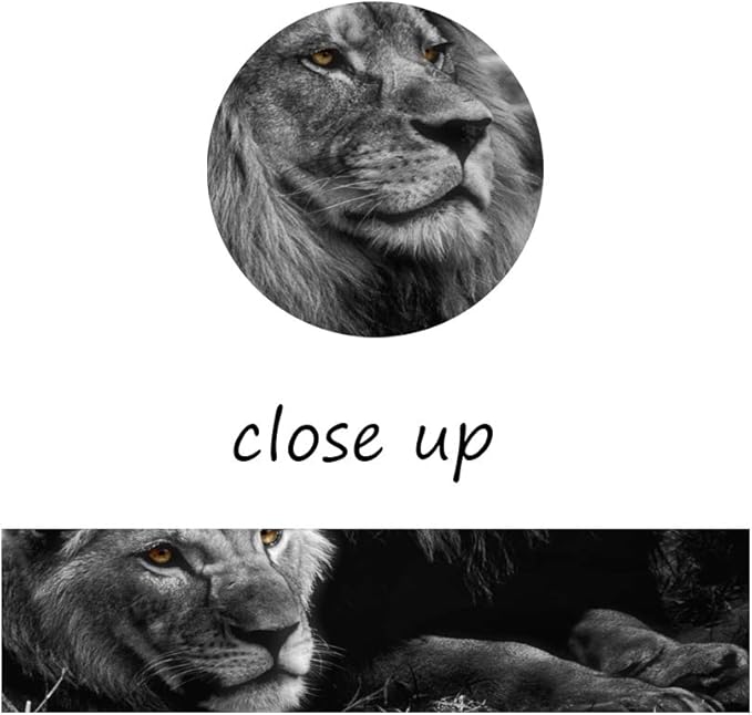 Framed Lion Pictures Wall Decor Modern 5 Panels White Black Lions Canvas Wall Art Easy to Hang Animal Posters for Living Room Bedroom Decor - 60''W x 32''H