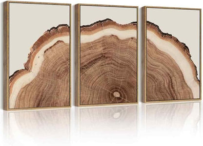 Drsoum Vintage Retro Tree Rings Wood Framed Wall Art Wood Stump Prints Modern Nature Rustic Artwork Bedroom Living Room Ready to Hang 12x16in Natural Framed
