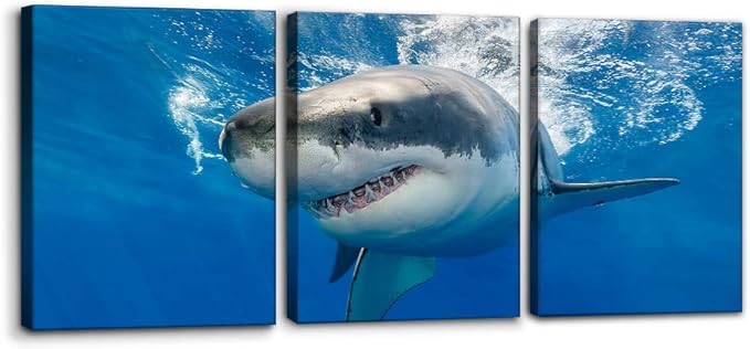 Pacimo 3 Piece Blue Wall Art Painting Great White Shark Catching Fish At Guadalupe Island Pictures Prints on Canvas Animal The Picture Decor for Home Modern Decoration for Living Room - 12" x 16" x 3