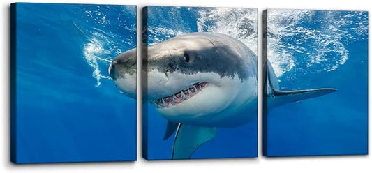 Pacimo 3 Piece Blue Wall Art Painting Great White Shark Catching Fish At Guadalupe Island Pictures Prints on Canvas Animal The Picture Decor for Home Modern Decoration for Living Room - 12" x 16" x 3