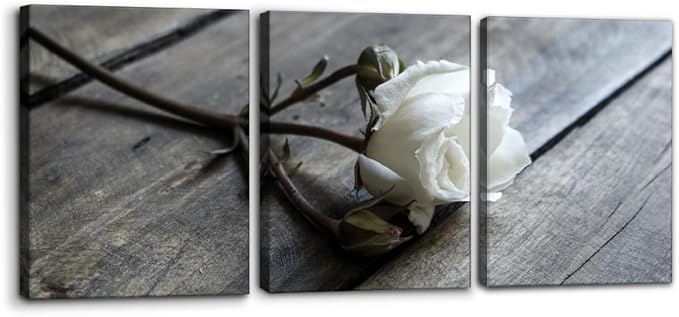 Pacimo White Rose Canvas Wall Art Prints Flowers Pictures Paintings Prints on Canvas Modern 3 Pieces Floral Giclee Artwork for Living Room Bedroom Office Home Decorations Stretched Framed - 12"x16"x3