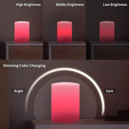 Cylinder Shape Color LED Mood Lamp, Rechargeable Dimmable Night Light with Remote Control 16 Dimmable Colors 4 Effects for Kids and Adults,Ambient Decorative Party Lighting (16 * 12cm)