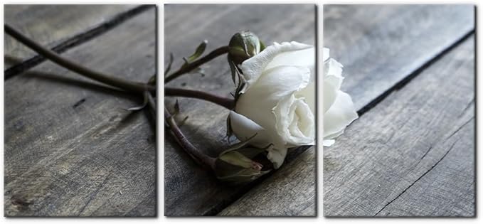 Pacimo White Rose Canvas Wall Art Prints Flowers Pictures Paintings Prints on Canvas Modern 3 Pieces Floral Giclee Artwork for Living Room Bedroom Office Home Decorations Stretched Framed - 20"x28"x3