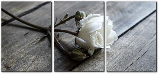 Pacimo White Rose Canvas Wall Art Prints Flowers Pictures Paintings Prints on Canvas Modern 3 Pieces Floral Giclee Artwork for Living Room Bedroom Office Home Decorations Stretched Framed - 20"x28"x3