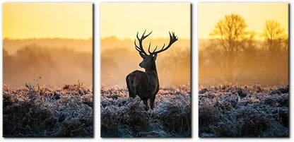 Pacimo Canvas Print Wall Art 3 Pieces Set Deer in Golden Light at Dawn Nature Wilderness Photography Realism Rustic Scenic Relax/Calm Multicolor for Living Room Bedroom Office Decor - 16"x24"x3 Panels