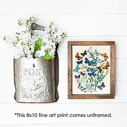 DREAM BIG PRINTABLES Vintage Butterfly Wall Art Print - Unframed - 8x10 | Botanical Wall Decor | Reproduction of Authentic Vintage Drawings for Home or Office