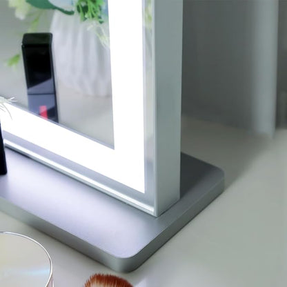 ANYHI Vanity Mirror with Lights, 22.4" x 28.1" Tabletop Vanity Mirror with Lights and Stand, 3 Color Modes, 10X Magnification, Smart Touch Control, Wall Mounted/Desk Mirror for Bedroom Makeup, Silver