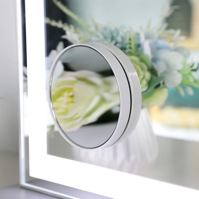ANYHI Vanity Mirror with Lights, 22.4" x 28.1" Tabletop Vanity Mirror with Lights and Stand, 3 Color Modes, 10X Magnification, Smart Touch Control, Wall Mounted/Desk Mirror for Bedroom Makeup, Silver