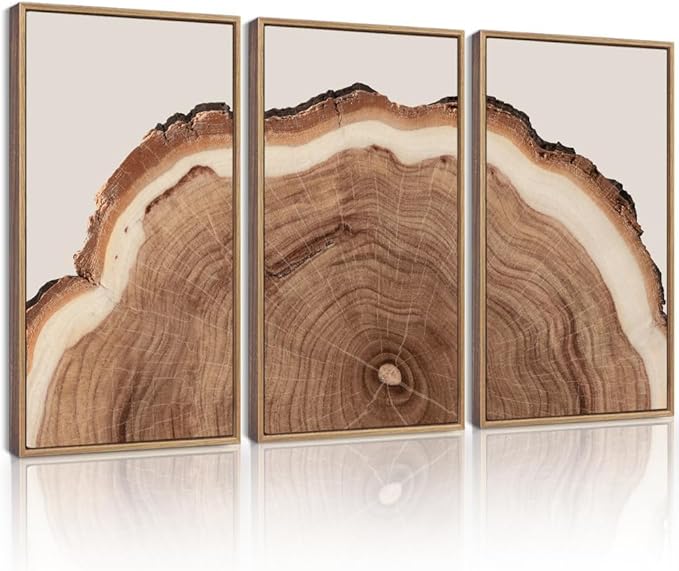 Drsoum Vintage Retro Tree Rings Wood Framed Wall Art Modern Wood Stump Nature Rustic Artwork Bedroom Living Room Ready to Hang 16x24in Natural Framed