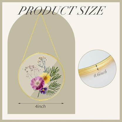 Qunclay 4 Pcs Double Glass Frame for Pressed Flowers Round Hanging Herbarium Floating Flower Press Frame Clear DIY Vintage Artwork Display holder