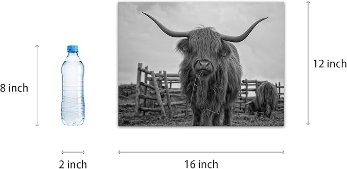 Highland Cow Wall Art Black and White Canvas Picture Animal Poster Framed Art Wall Decor for Living Room Bathroom (12x16 inch)