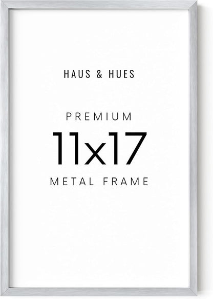 HAUS AND HUES Standalone Silver Aluminum Frame Set of 1-11x17