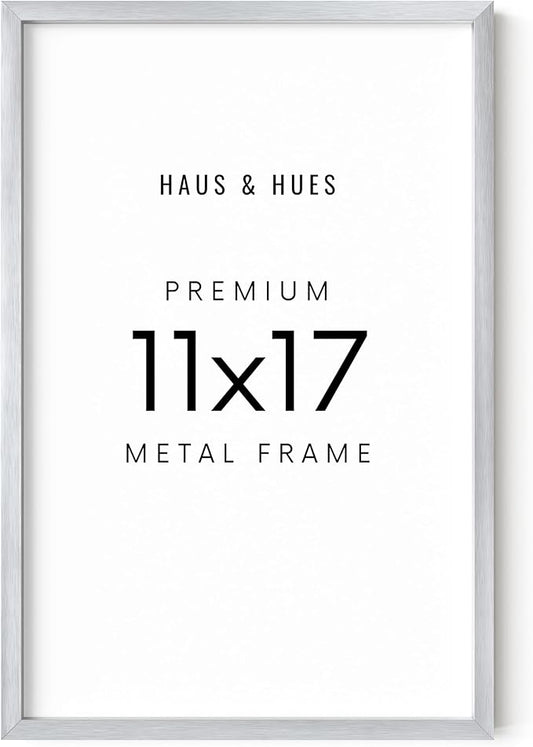 HAUS AND HUES Standalone Silver Aluminum Frame Set of 1-11x17