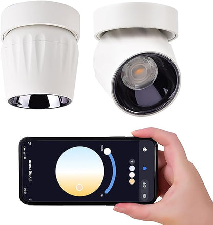 LED Ceiling Spotlight Indoor Dimmable - Tuya Smart Life 360° Adjustable 12W COB Ceiling Downlight Aluminum Hard Wired For Bedrooms Rooms Corridors Painting Background Walls (White, B ( 4.02"*3.62"))