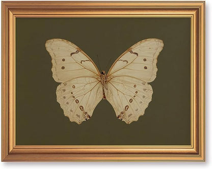 JLTULT Gold Frame White Butterfly Wall Art Print on Dark Green Background, Vintage Framed Wall Decor for Living Room, Bedroom, Office 8x10 Inch Fade-Resistant Print Easy to Hang
