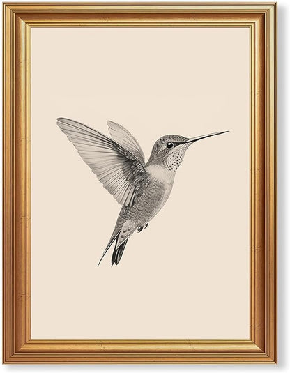 JLTULT Gold Framed Hummingbird Wall Art, Vintage Black White Sketch Wall Decor, Hummingbird Illustration Art Prints for Living Room Bedroom Office 12x16 Inches with Fade-Resistant Easy to Hang