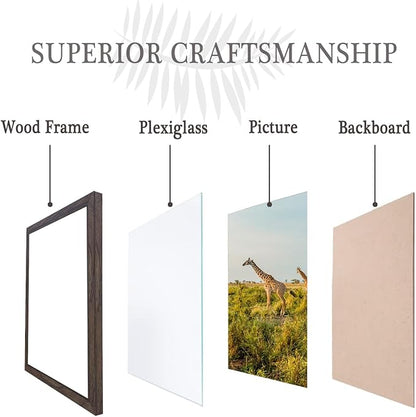 8.5x11 Picture Frame walnut Set of 3, Certificate Frame Poster and Photo frame, Horizontal and Vertical Formats for Wall or Tabletop, 8.5x11 Frame with Shatter Resistant Plexiglass, best gift