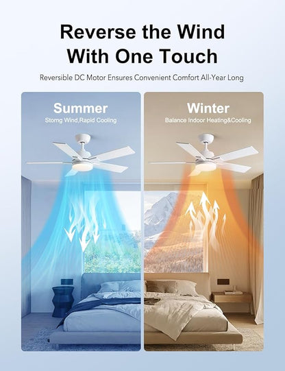 Rayqueen 42 Inch Ceiling Fans with Lights and Remote, 6 Speed Reversible DC Motor, 3CCT Dimmable LED, 5 Blades, White Modern Ceiling Fan for Bedroom, Living Room & Covered Outdoor, Includes Downrod