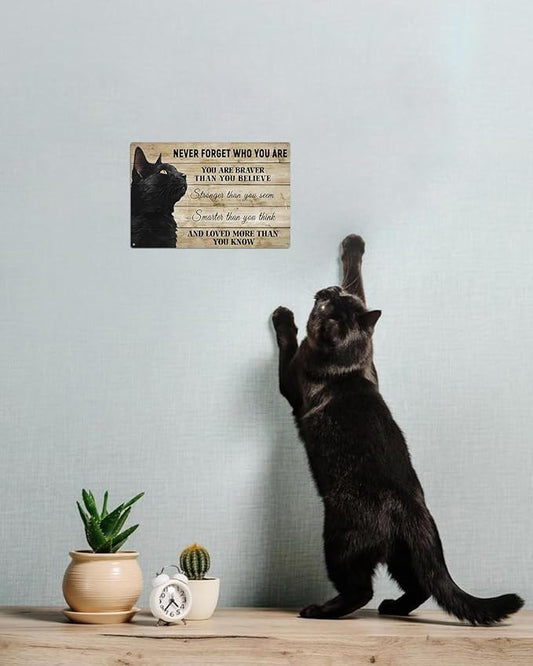 ALKB Never Forget Who You Are. Retro Metal Sign Black Cat Lovers Gift, Inspirational Wall Art Vintage Cat Decor for Home,Office,Bedroom 8 x 12 Inch